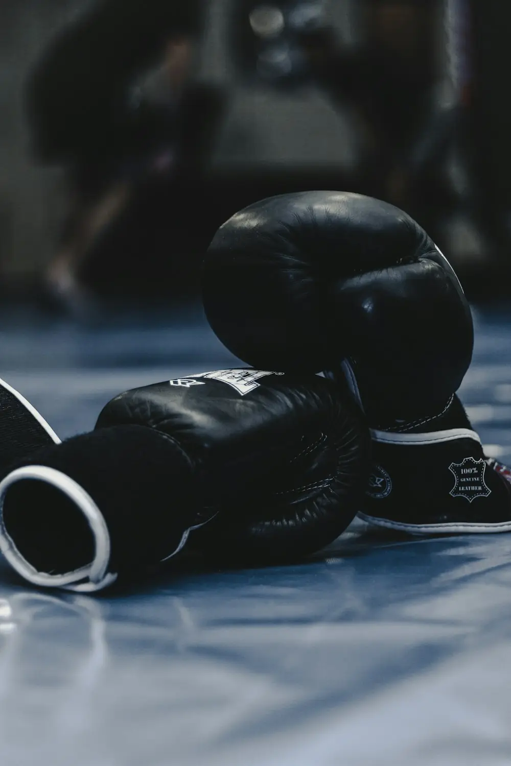 Boxing gloves resting on the floor of a boxing gym